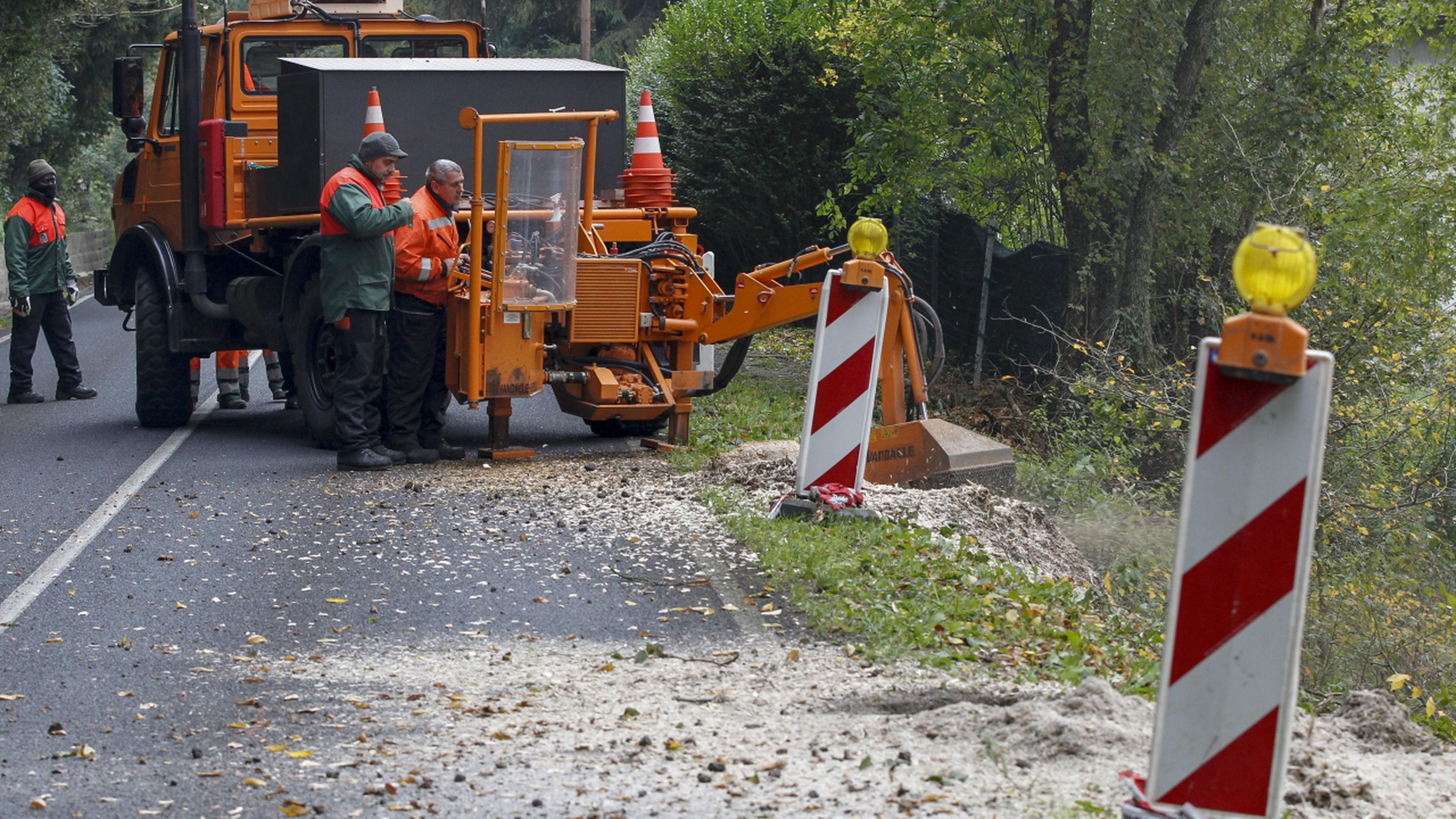 Mehr Sicherheit Durch Weniger B Ume Luxemburger Wort